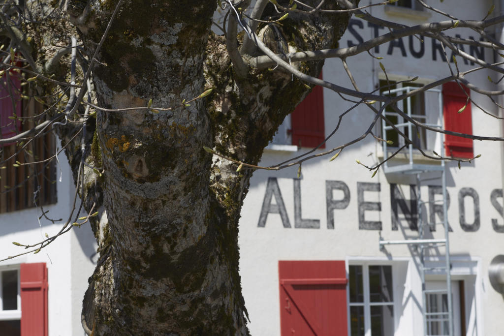 Alpenrose Gadmen - Gasthaus 외부 사진